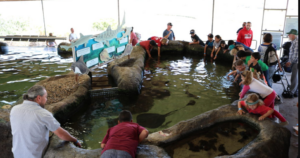 Living Coast Discovery Center | Rental With A View
