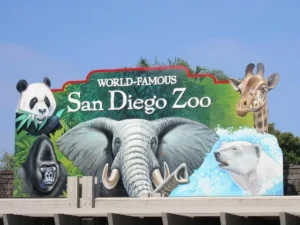 sandiegozoo | Rentel with a view