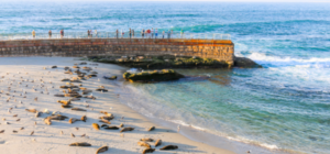 Children's Pool and Nearby Coastal Views