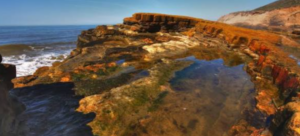 Point Loma Tide Pools