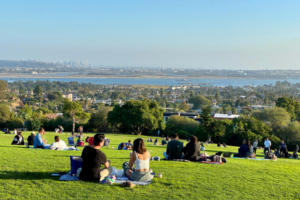 Kate Sessions Park San Diego Parks for Fun Outdoor Adventures