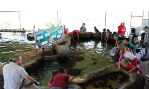 Living Coast Discovery Center